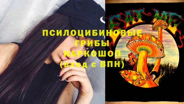 эйфоретик Аркадак