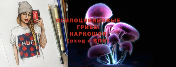 Альфа ПВП Осинники