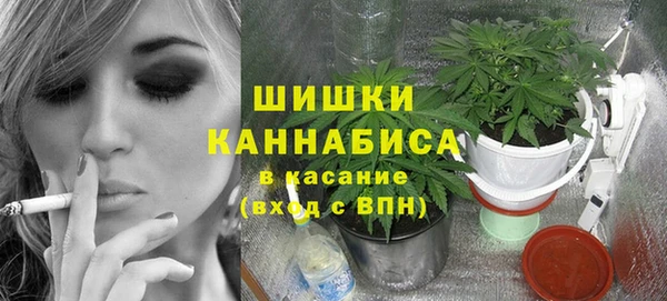 эйфоретик Аркадак