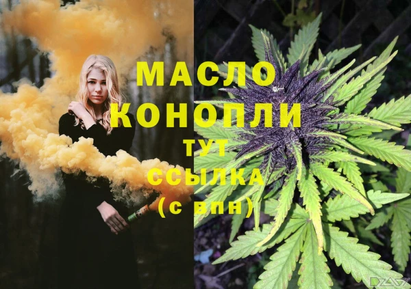 Альфа ПВП Осинники