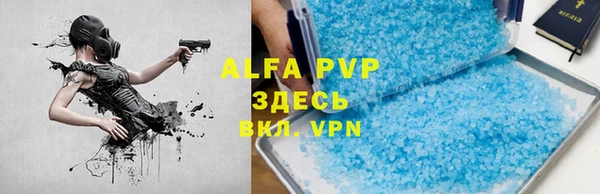 эйфоретик Аркадак